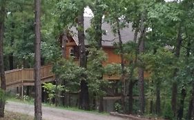 Enchanted Treehouses